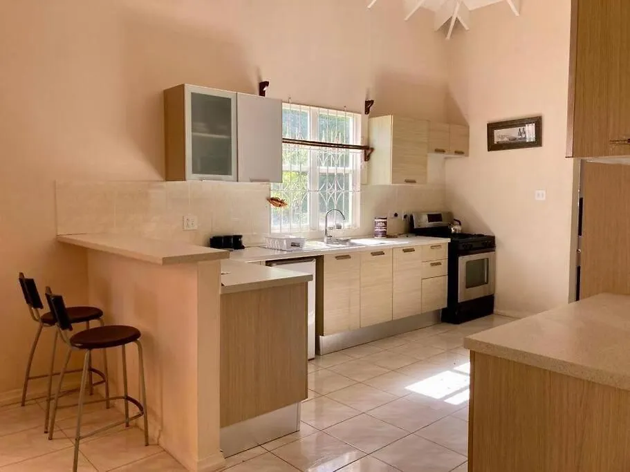 Villa In Atlantic View Basseterre